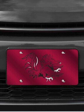 Rico Industries NCAA Unisex-Adult Laser Inlaid Metal License Plate Tag